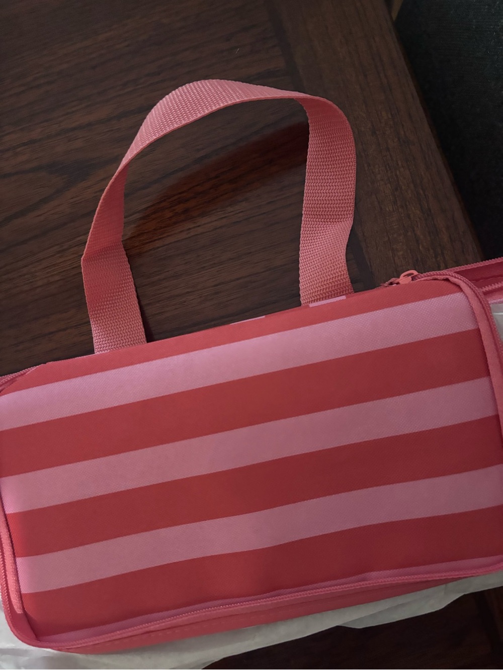 Trader Joe's Pink Striped Insulated Mini Travel Bag - Picture 3 of 4